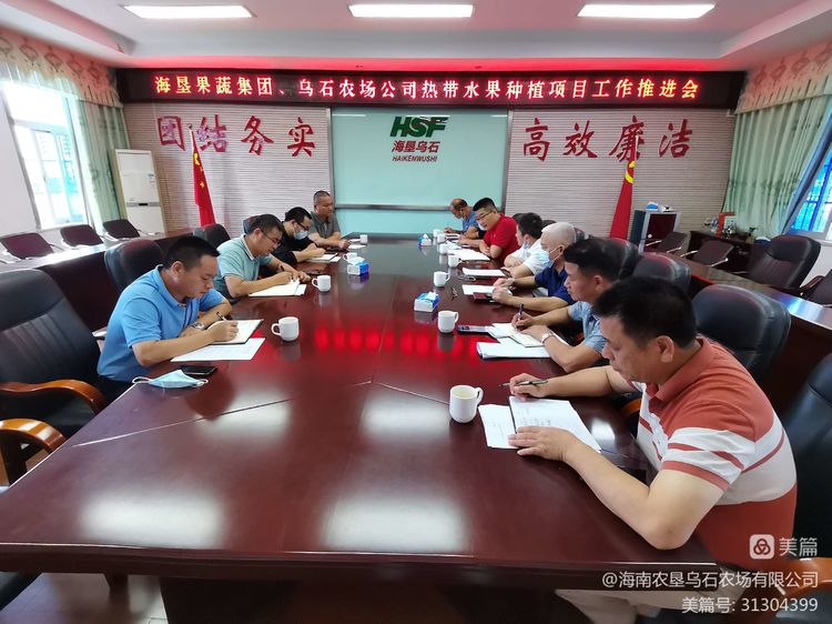 海墾果蔬集團(tuán)與烏石農(nóng)場(chǎng)公司召開(kāi)熱帶水果種植項(xiàng)目工作推進(jìn)會(huì)