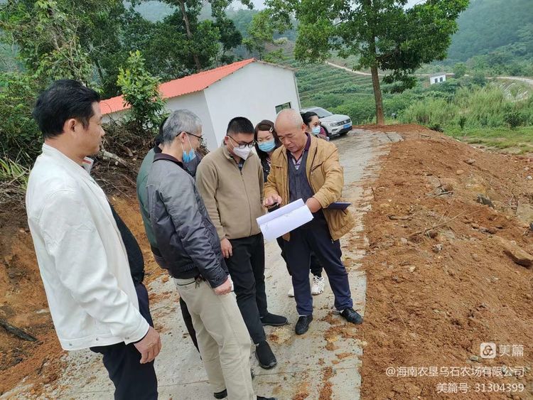 烏石農(nóng)場公司長征子公司開展綠橙種植基地項目整體初步驗收工作