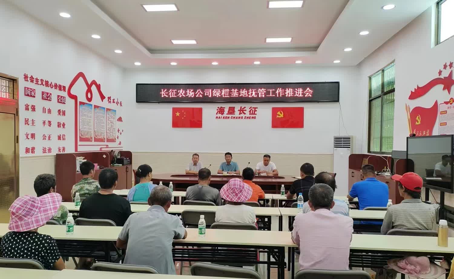 烏石農(nóng)場公司長征子公司召開綠橙基地?fù)峁芄ぷ魍七M(jìn)會(huì)